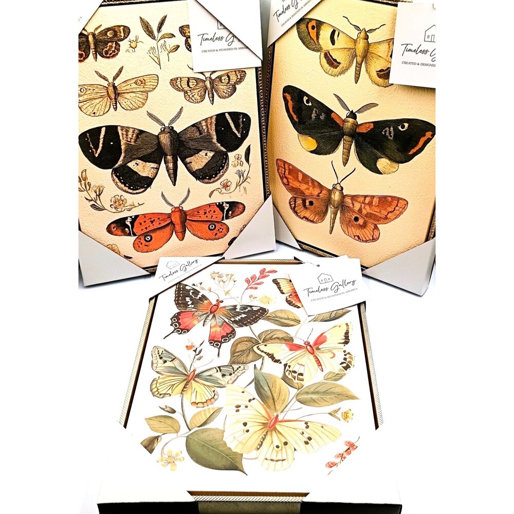 3x Timeless Gallery Butterfly Moth Canvas Print Wall Art Entomology Decor New